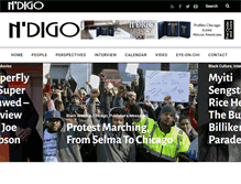 Tablet Screenshot of ndigo.com